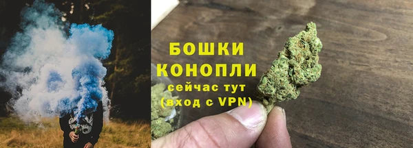 крисы Осинники