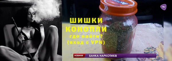 крисы Осинники