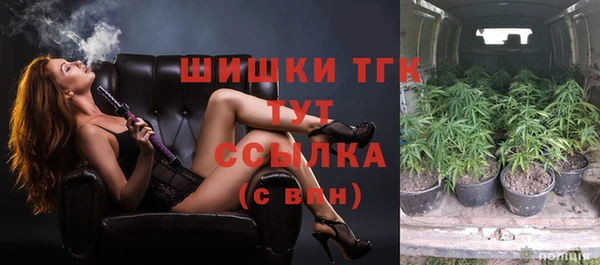 крисы Осинники