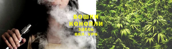 крисы Осинники