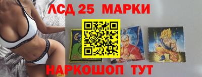 дмт Донской