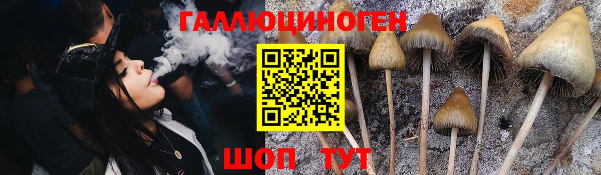 Галлюциногенные грибы Magic Shrooms Новочеркасск